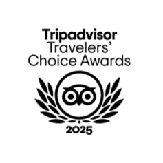 tripadvisor-2024